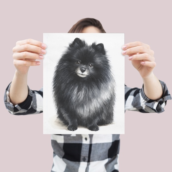Watercolor Black Pomeranian Dog Portrait Art Print – Unframed Fine Art Poster - Picture 4 of 5